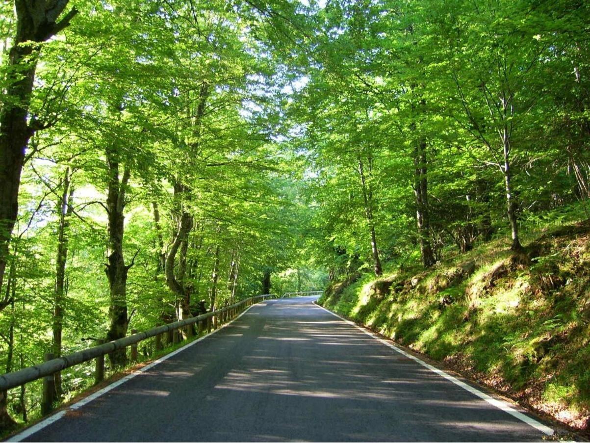 Casa Rural Caborzal Renedo De Cabuerniga Kültér fotó